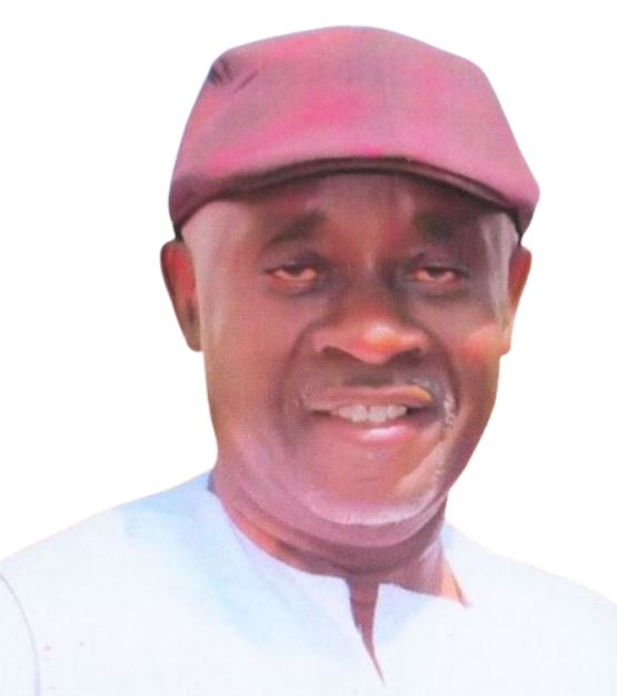 Engr. Dr. Patrick Okonji, FNSE, FNMS, KSM